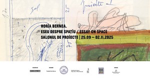 https://salonuldeproiecte.ro/files/gimgs/th-15_horiabernea_v3.jpg
